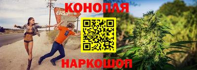 шишки Славгород