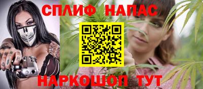 шишки Славгород