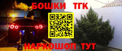 таблы Сланцы