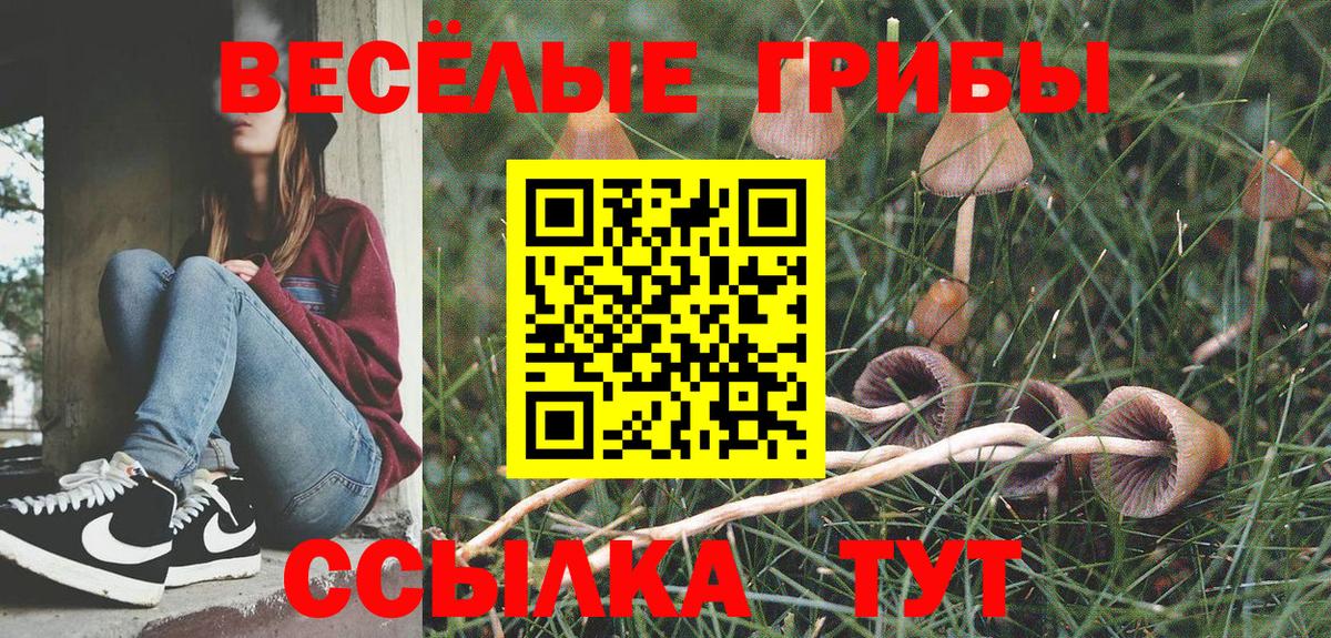 Псилоцибиновые грибы GOLDEN TEACHER  Вход с VPN  Нижний Тагил 